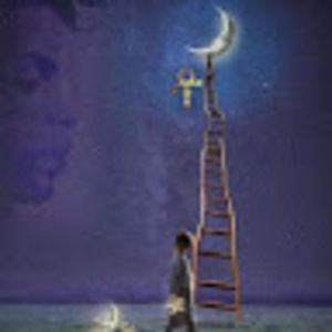 Meet your Posher, Catau